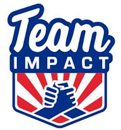 TEAM IMPACT logo