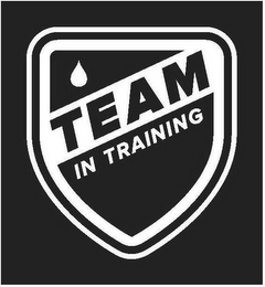 TEAM IN TRAINING logo