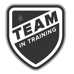 TEAM IN TRAINING logo