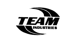 TEAM INDUSTRIES logo