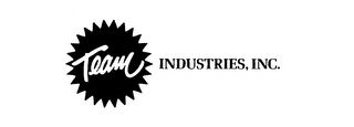 TEAM INDUSTRIES, INC. logo