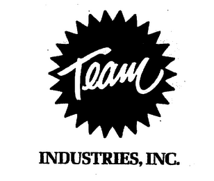 TEAM INDUSTRIES, INC. logo