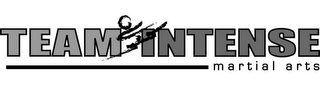 TEAM INTENSE MARTIAL ARTS logo