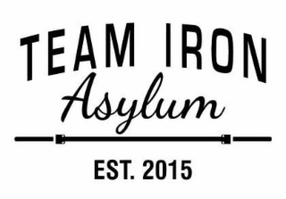TEAM IRON ASYLUM EST. 2015 logo