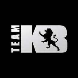 TEAM KB logo