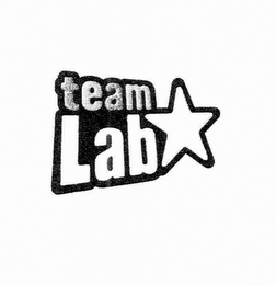 TEAM LAB logo