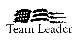 TEAM LEADER logo