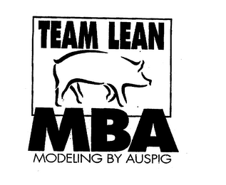 TEAM LEAN MBA MODELING BY AUSPIG logo