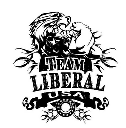 TEAM LIBERAL USA logo