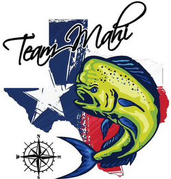 TEAM MAHI logo
