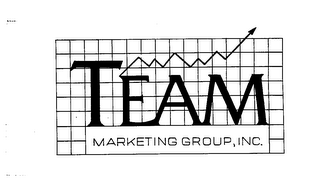 TEAM MARKETING GROUP, INC. logo
