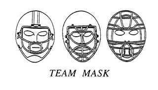 TEAM MASK logo