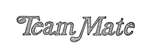 TEAM MATE logo