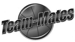 TEAM-MATES logo