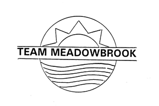 TEAM MEADOWBROOK logo