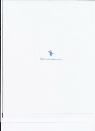 TEAM MENTAL HEALTH SERVICES logo