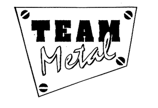 TEAM METAL logo