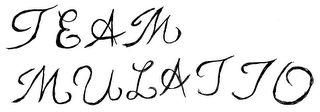 TEAM MULATTO logo