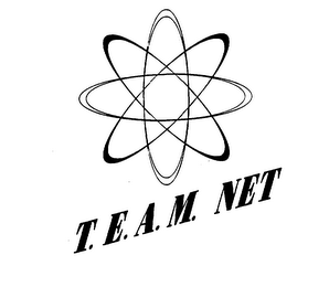 T.E.A.M. NET logo