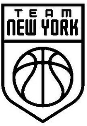 TEAM NEW YORK logo