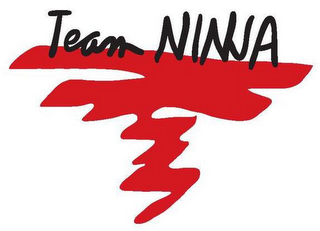 TEAM NINJA logo