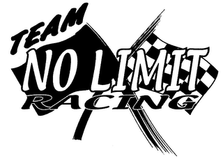 TEAM NO LIMIT RACING logo