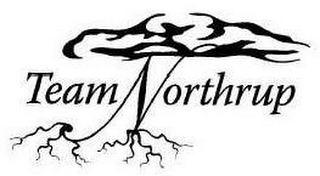 TEAM NORTHRUP logo