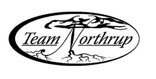 TEAM NORTHRUP logo