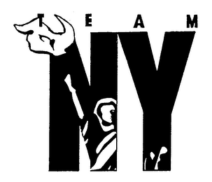 TEAM NY logo