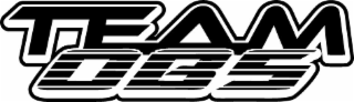 TEAM OBS logo
