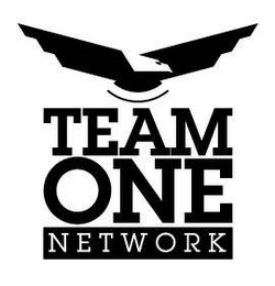 TEAM ONE NETWORK logo
