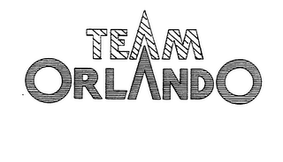 TEAM ORLANDO logo