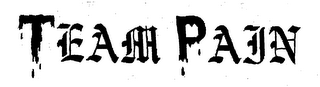 TEAM PAIN logo