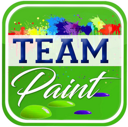 TEAM PAINT logo