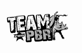 TEAM PBR logo