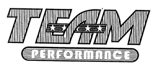 TEAM PERFORMANCE logo