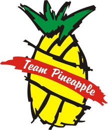 TEAM PINEAPPLE logo