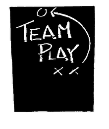 TEAM PLAY logo