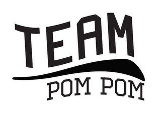TEAM POM POM logo