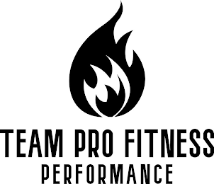 TEAM PRO FITNESS PERFORMANCE logo