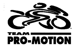 TEAM PRO-MOTION logo