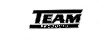 TEAM PRODUCTS logo