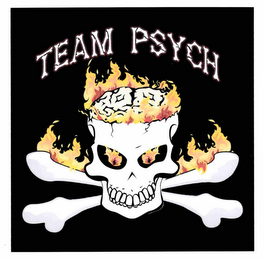 TEAM PSYCH logo