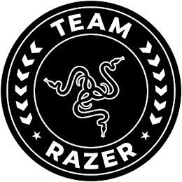 TEAM RAZER logo