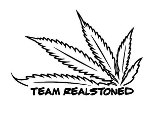 TEAM REALSTONED logo