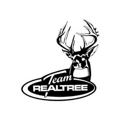 TEAM REALTREE logo
