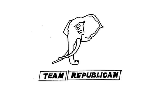 TEAM REPUBLICAN logo