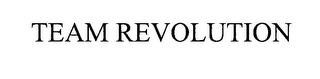TEAM REVOLUTION logo