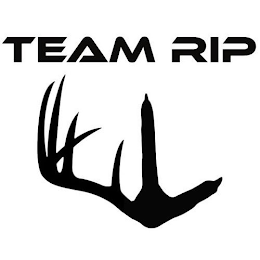 TEAM RIP logo