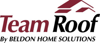 TEAM ROOF BY BELDON HOME SOLUTIONS logo